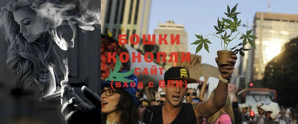 гидра Рославль